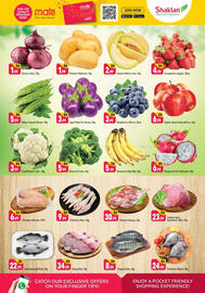 Shaklan leaflet Page 2