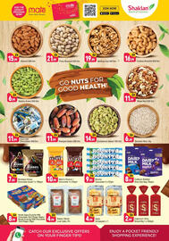 Shaklan leaflet Page 3