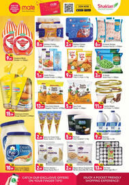 Shaklan leaflet Page 4