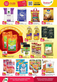 Shaklan leaflet Page 6