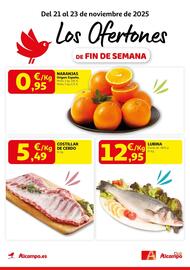 Folleto Alcampo Página 1