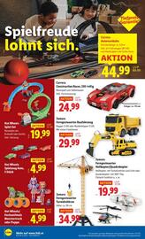 Lidl Flugblatt woche 48 Seite 21