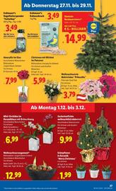 Lidl Flugblatt woche 48 Seite 30