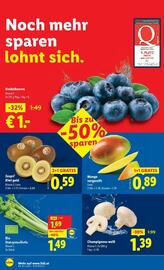 Lidl Flugblatt woche 48 Seite 41
