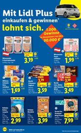 Lidl Flugblatt woche 48 Seite 45
