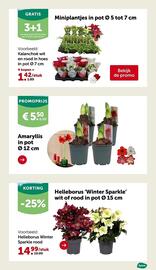 AVEVE folder Pagina 24