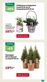 AVEVE folder Pagina 25