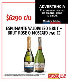 Catálogo OXXO Página 10