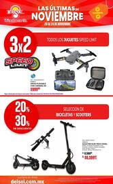 Folleto DelSol Página 10