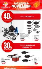 Folleto DelSol Página 15