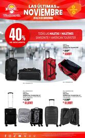 Folleto DelSol Página 17