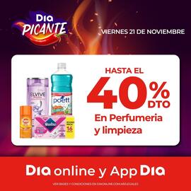 Folleto Supermercados DIA semana 47 Página 7