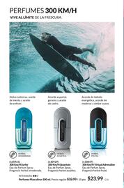 Catálogo AVON Página 72