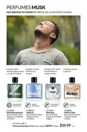 Catálogo AVON Página 74