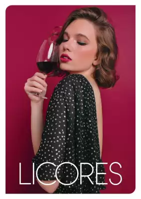 Catálogo Soanpro (válido hasta 21-12)