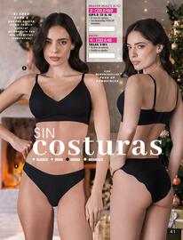 Catálogo Peter Pan Internacional Página 41