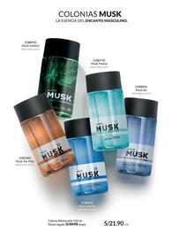 Catálogo Avon Página 100