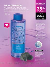 Catálogo Avon Página 179