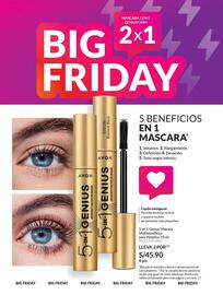 Catálogo Avon Página 20