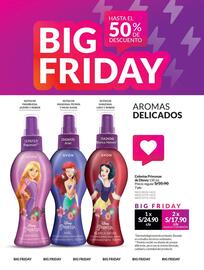 Catálogo Avon Página 223