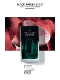 Catálogo Avon Página 70