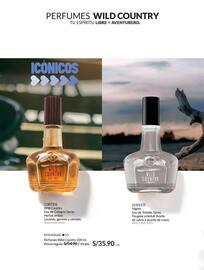 Catálogo Avon Página 72