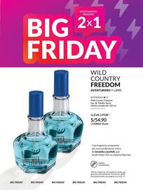 Catálogo Avon Página 73