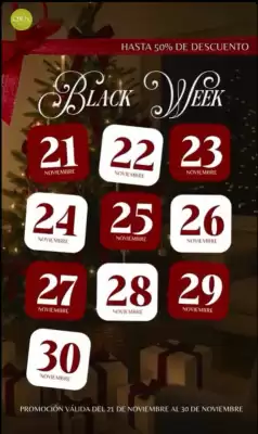 Catálogo Oben (válido hasta 30-11)