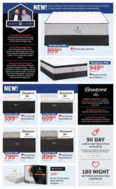 The Brick flyer Page 4