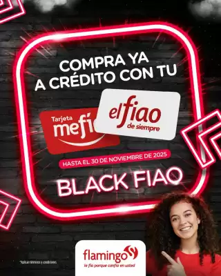 Catálogo Flamingo (válido hasta 30-11)