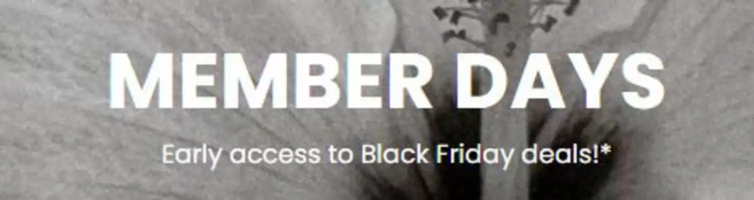 Roxy leaflet (valid until 4-12)