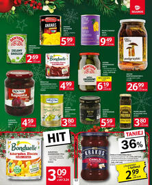 Selgros gazetka Strona 17