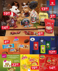 Selgros gazetka Strona 19