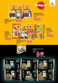 Selgros gazetka Strona 30