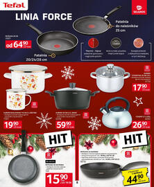 Selgros gazetka Strona 10