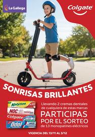 Catálogo La Gallega Supermercados Página 9