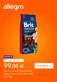 Allegro gazetka tydzień 47 Strona 3