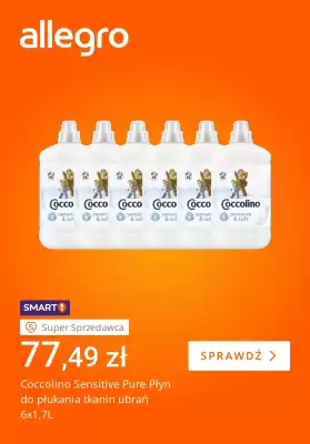 Allegro gazetka (ważność do 27-11)