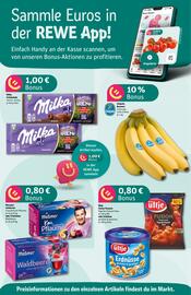 REWE DE tilbudsavis uge 48 Side 2