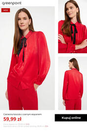 Greenpoint gazetka tydzień 47 Strona 3