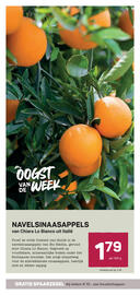 Ekoplaza folder week 48 Pagina 16