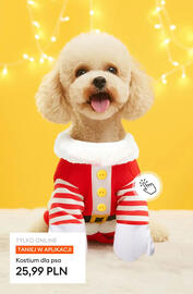 Sinsay gazetka Strona 3