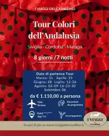 Volantino I Viaggi del Cavallino Pagina 4