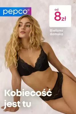 Pepco gazetka (ważność do 29-11)