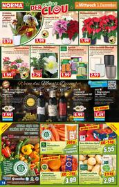 Norma Prospekt woche 49 Seite 14