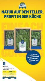 METRO Prospekt woche 48 Seite 11