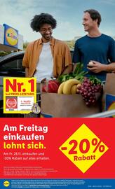 Lidl Flugblatt Seite 8