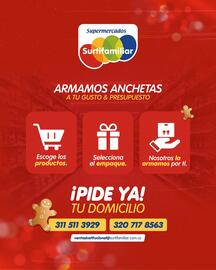 Catálogo Surtifamiliar Página 4