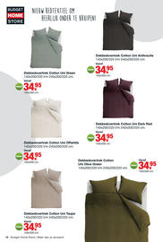 Budget Home Store folder Pagina 11