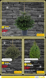 Praxis folder week 48 Pagina 11